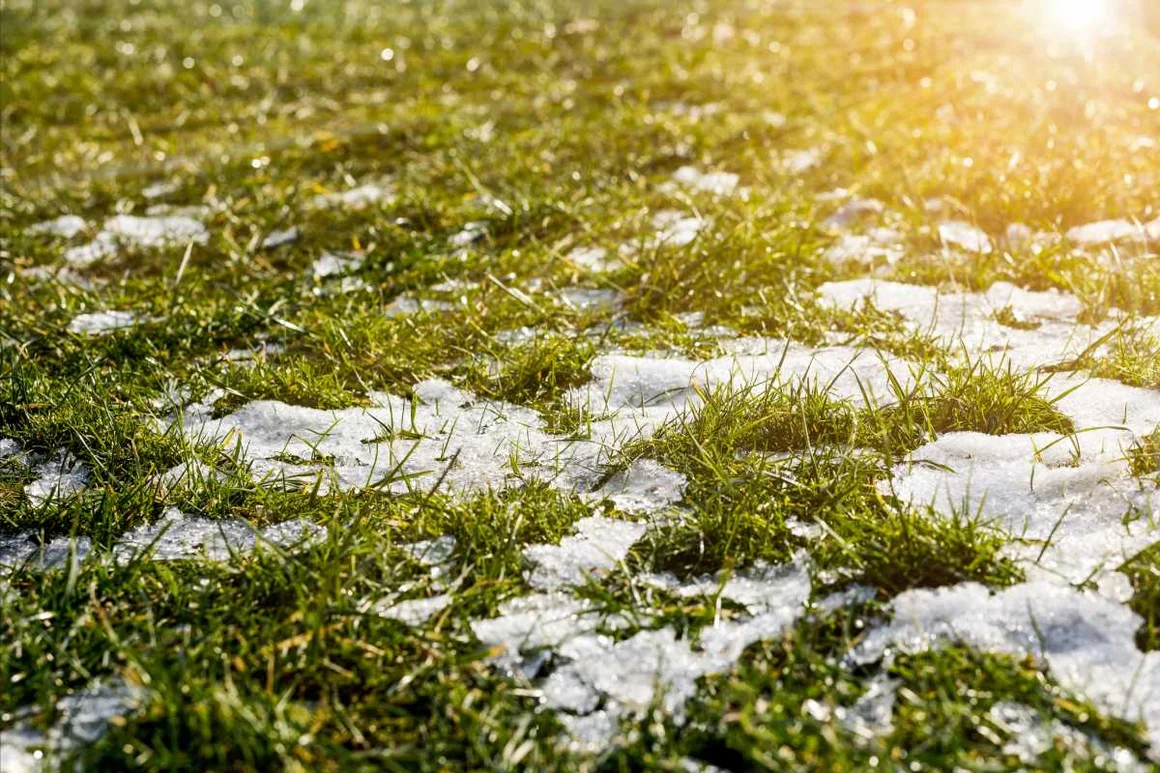 Schnee auf grünem Gras